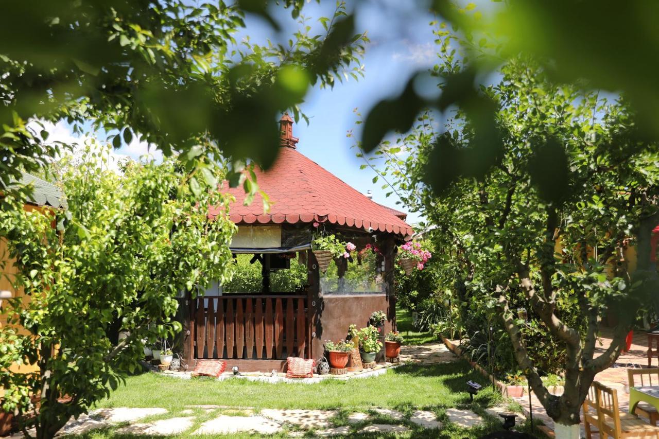 Casa Nita Villa คอร์บู ภายนอก รูปภาพ